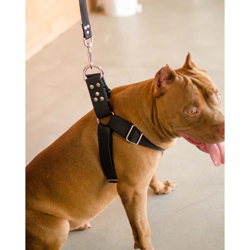 Coleira Peitoral Cachorro Guia Adaptador Doberman Pit Bull m - Dedcases ...