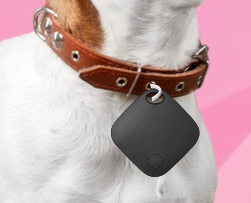 Coleira Rastreador a prova Dagua GPS para Pet Cachorro e Gato ...