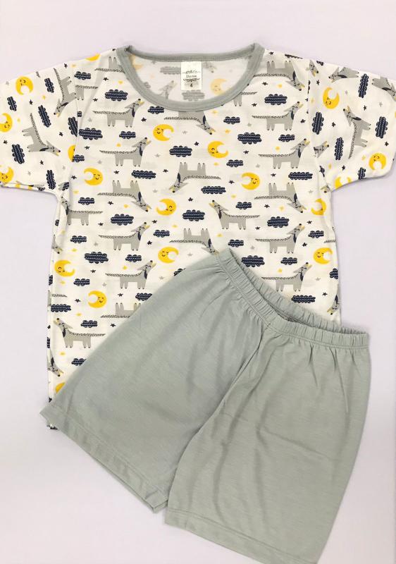 Conjunto Pijamas Estampado menino Infantil Juvenil 3 a 14 anos - Davisa ...
