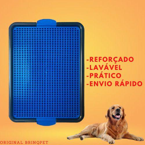 Kit 3 Educador canino Azul sanitário tapete para cachorro fazer xixi ...