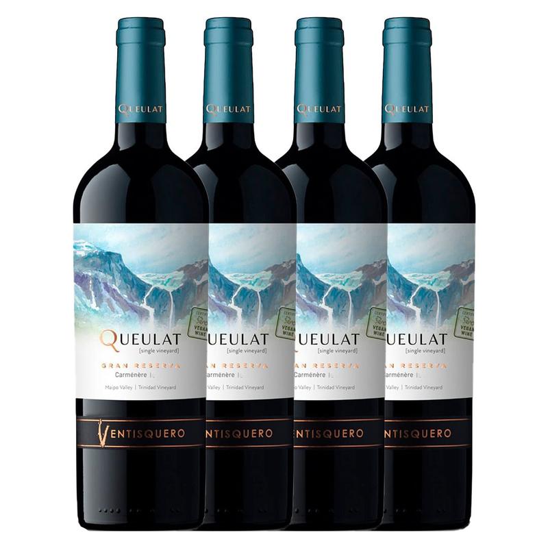 Chili Ventisquero Queulat carménère 2019 75cl main image 0
