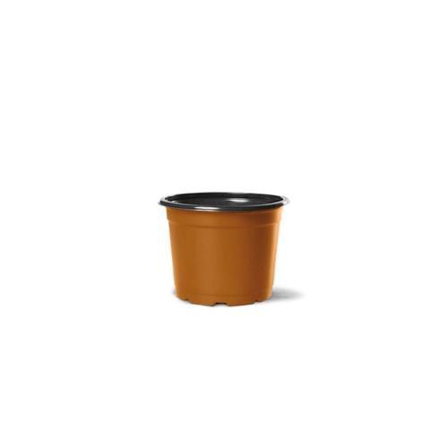 Kit Vaso Pl stico Pote 6 Holambra Dourado preto Com 50 Uni Nutriplan kit-vaso-pl-stico-pote-6-holambra-dourado-preto-com-50-uni-nutriplan