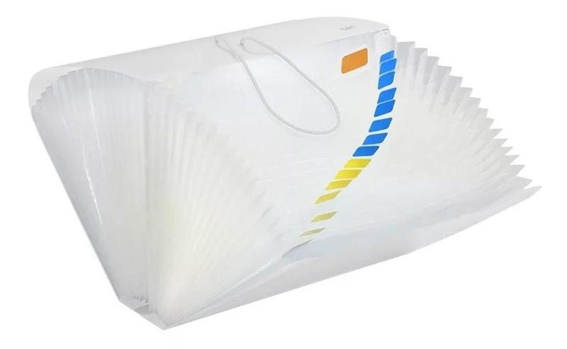 Pasta Sanfonada Média Plástica Duplicata 31 Divisórias 19x24cm ACP e ...