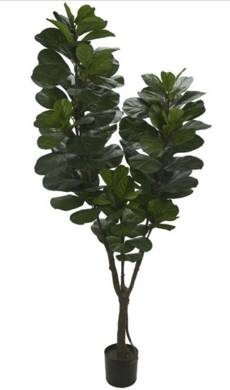 Planta Artificial A.Ficus Rata Real Toque x 78 (1,3m) - Florescer Decor ...