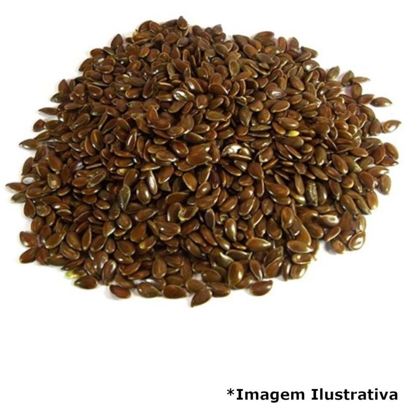 Semente de Linhaça Marrom Empório Fullfit 500 Gramas - Linhaça ...